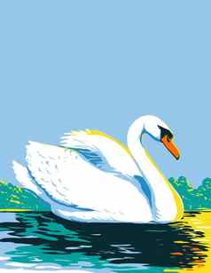 沉默的天鹅天鹅座气味游泳湖查看一边水渍险海报艺术