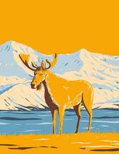 驼鹿每德纳里峰国家公园保存山麦金利阿拉斯加水渍险海报艺术