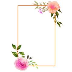 水彩花框架设计玫瑰花广场邀请框架孤立的白色背景