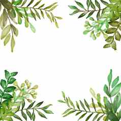 水彩框架设计浪漫的花束卡模板绿色叶白色背景水彩插图
