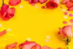 红色的玫瑰花黄色的背景复制空间横幅春天概念
