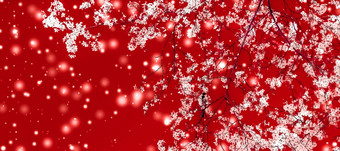 圣诞节年红色的花背景假期卡设计花树雪闪闪发光的冬天季节出售<strong>促销活动背景</strong>奢侈品美品牌