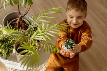 可爱的可爱的男孩有爱心的室内植物首页助手家庭休闲活动首页园艺概念舒适的房间地球颜色休闲服装