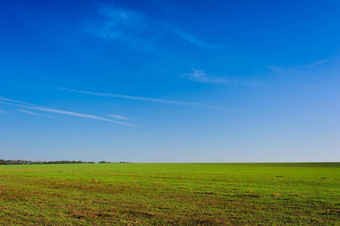 乌克兰绿色场小麦蓝色的天空太阳白色云仙境生绿色小麦场夏天日落天空云生绿色小麦场夏天日落天空云