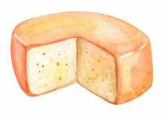 水彩减少奶酪轮孤立的白色手画食物插图