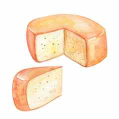 水彩奶酪集孤立的白色背景