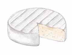 水彩白色奶酪模具孤立的白色质轮手画插图布里干酪艺术