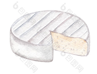 水彩白色奶酪模具孤立的白色质轮手画插图布里干酪艺术