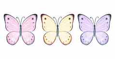 水彩柔和的彩色的蝴蝶集孤立的白色