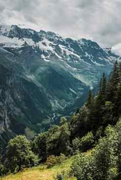 lauterbrunnen谷瑞士处女瑞士阿尔卑斯山脉美丽的景观欧洲山视图雪山峰喉咙绿色森林