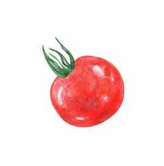 水彩番茄樱桃孤立的白色背景