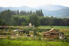 景观传统的山的小木屋新鲜的绿色山牧场夏天