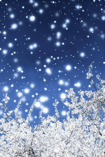 圣诞节年蓝色的花背景假期卡设计花树雪闪闪发光的冬天季节出售<strong>促销活动背景</strong>奢侈品美品牌