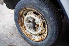 生锈的轮轮胎车被遗弃的车轮胎