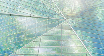 可持续发展绿色建筑环保建筑可持续发展的玻璃办公室建筑树减少碳二氧化物办公室绿色环境企业建筑减少安全玻璃