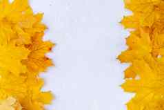 秋天叶子框架白色背景前视图秋天边境黄色的橙色叶子古董结构表格复制空间文本