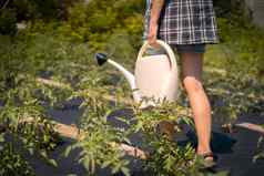 女孩农业浇水植物的花园