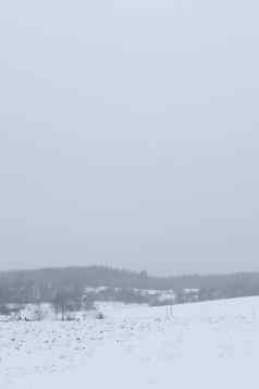 农村美丽的冬天景观Non-urban场景一年圣诞节风景如画的视图农村冷淡的冬天一天