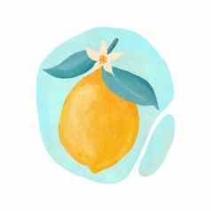 手画插图黄色的柠檬蓝色的叶子绿松石背景成熟的地中海柑橘类水果片减少一半有机健康的维生素素食者食物概念食物成分维生素美味的多汁的