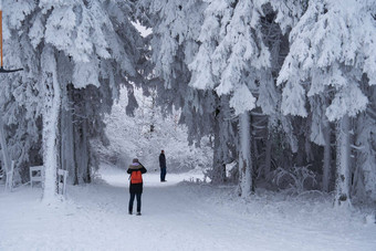 蒂内格女孩滑雪套房父亲小道草坪上覆盖雪不错的树站倒雪花冷淡的冬天早....<strong>梦幻</strong>冷杉被施了魔法<strong>森林</strong>