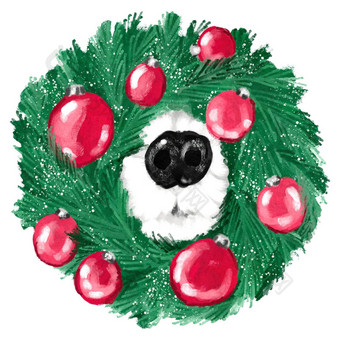 手画插图宠物狗黑色的鼻子绿色圣诞节花环红色的饰品可爱的有趣的设计冬天卡邀请海报12月动物犬类血统快乐卡通