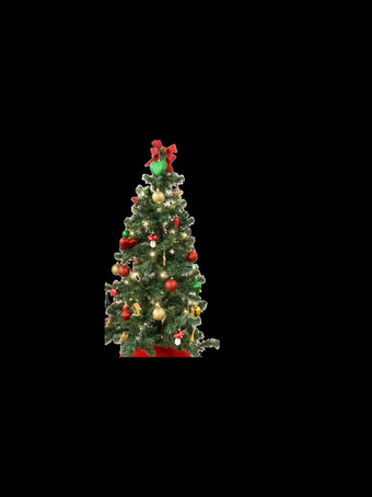 png快乐圣诞节假期问候卡框架横幅复制空间一年诺埃尔装饰绿色圣诞节树加兰灯圣诞节装饰前面视图冬天圣诞节主题
