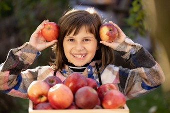 美丽的微笑年轻的孩子女女孩持有<strong>苹果</strong>漂亮的脸相机有机红色的<strong>新鲜</strong>选<strong>苹果</strong>木盒子<strong>苹果</strong>收获<strong>苹果</strong>农业
