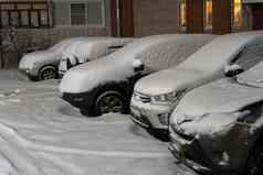 白雪覆盖的汽车停行开放停车很多院子里