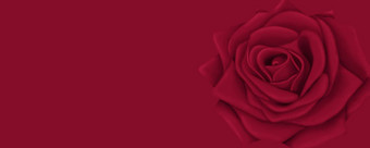 美丽的红色的背景明信片图形作品明亮的玫瑰红色的背景背景横幅空间文本
