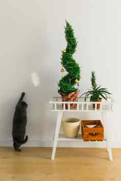 室内柏树图亚能装修球圣诞节树猫有趣的替代树圣诞节