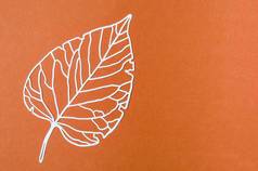 雕刻白色纸叶子橙色颜色纸板背景