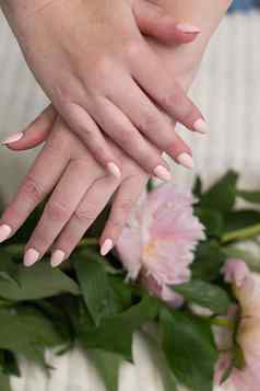 女孩的手美丽的粉红色的修指甲设计柔和的颜色轻轻花