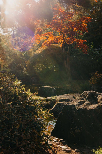 美丽的平静场景春天<strong>日本</strong>花园<strong>日本</strong>秋天图像美丽的<strong>日本</strong>花园池塘红色的叶子池塘<strong>日本</strong>花园