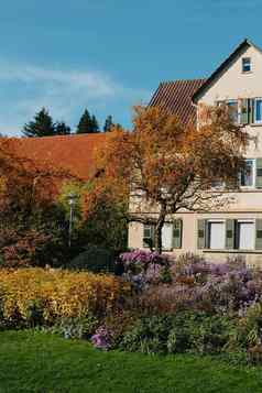 房子不错的花园秋天花城市公园Baden-Wuerttemberg德国欧洲秋天公园房子布什grenery