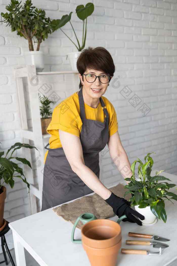 中间岁的女人围裙衣服需要护理盆栽植物能首