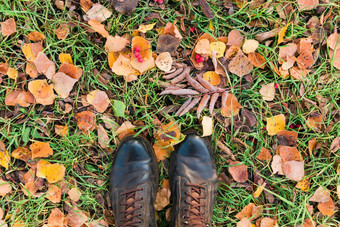 前视图鞋子秋天森林地面霜叶子下降地面景观关闭下降叶子森林干叶子背景复制空间