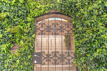 城堡门拱艾薇拱城堡门覆盖绿色艾薇入口房子铁酒吧砖墙覆盖绿色艾薇
