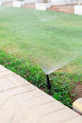 喷水灭火系统花园浇水草坪上自动浇水草坪概念