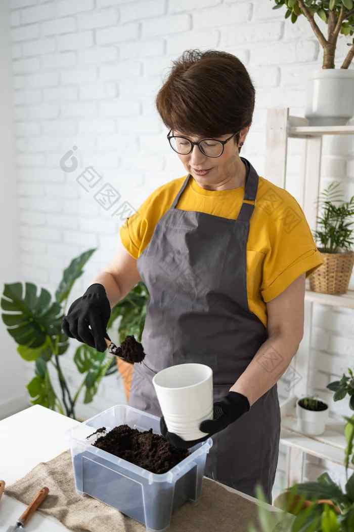 中间岁的女人围裙衣服需要护理盆栽植物能首