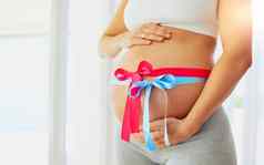 婴儿怀孕了女人粉红色的蓝色的丝带系肚子