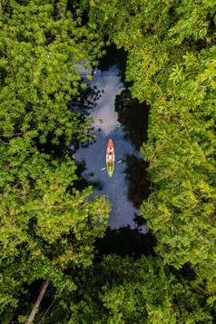 夫妇皮艇丛林甲米泰国但女人皮艇热带丛林红树林森林