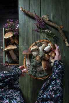 女人清洗porcini蘑菇篮子前视图收获森林