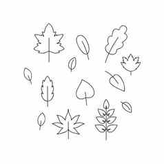 集轮廓涂鸦图纸秋天叶子树枝浆果黑色的大纲草图手夏天春天设计明信片照片设计装饰元素向量插图