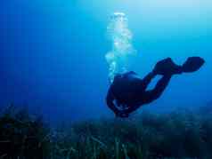 潜水员潜水放松海底覆盖藻类