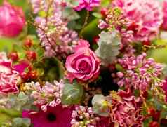 玫瑰户外早....花园特写镜头增长颜色植物情人节一天礼物花叶子可持续发展的园艺美花束春天花布什自然