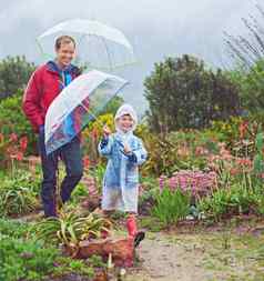 花园爱雨完整的长度拍摄父亲儿子走雨