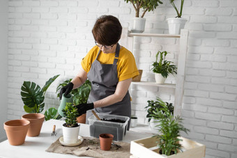 园艺首页女人种植浇水<strong>绿色植物</strong>浇水首页盆栽<strong>绿色植物</strong>首页首页丛林花装饰花店商店概念