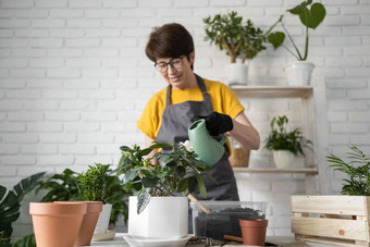 园艺首页女人种植浇水绿色植物浇水首页盆栽绿色植物首页首页丛林花装饰花店商店概念