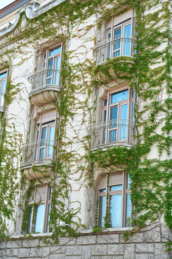体系结构<strong>欧洲建筑</strong>绿色植物编织墙