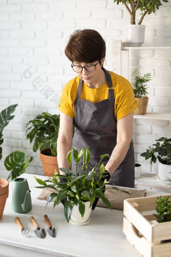 园艺首页女人种植浇水绿色植物浇水首页盆栽绿色植物首页首页丛林花装饰花店商店概念